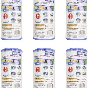 Intex 59900E-6 (29000E-6) Easy Set Pool Replacement Type A or C Filter Cartridge, 6-Pack